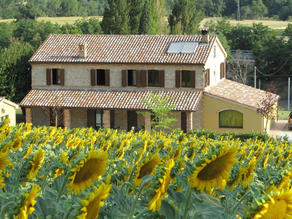 Agriturismo La Vecchia Fonte Guest House Castelbellino Exterior foto